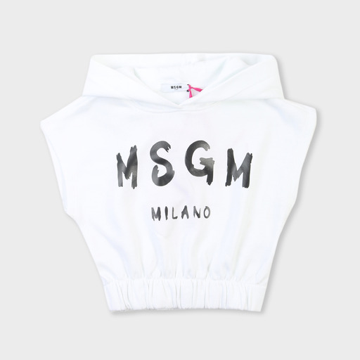 ms028803