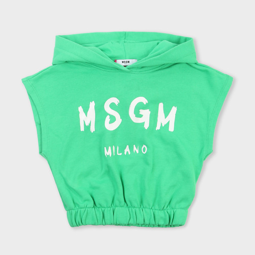 ms028803