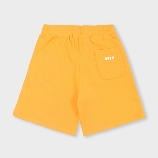 ms029069