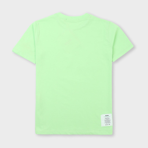 ms029072