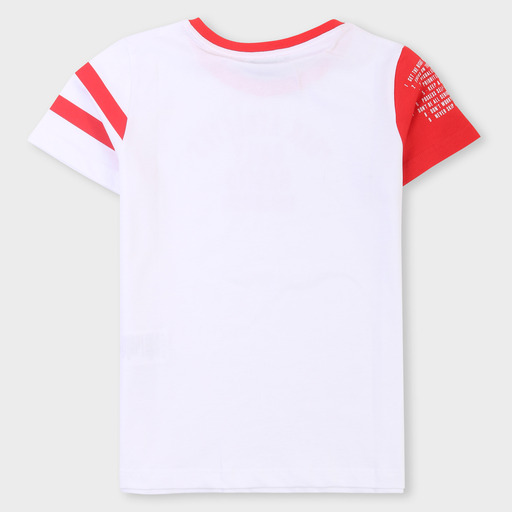 bk0733