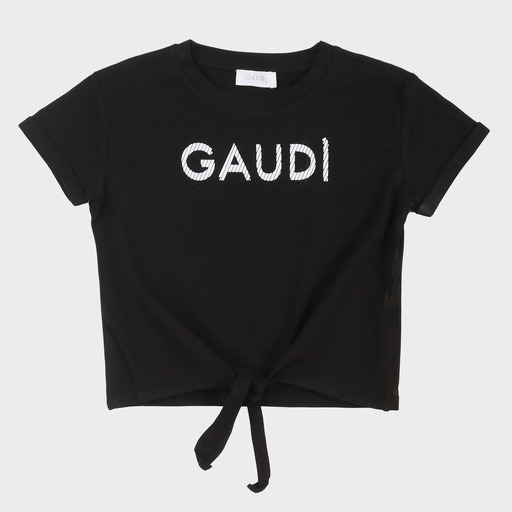 gaf03691