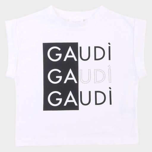 gaf03693
