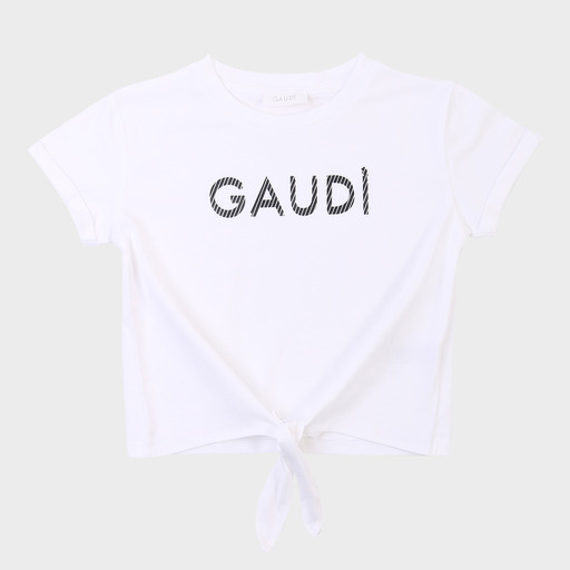 gaf03691