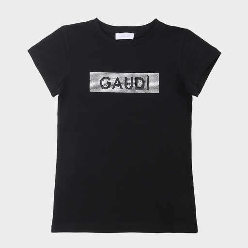 gaf03599