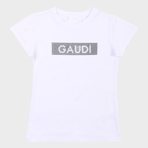 gaf03599