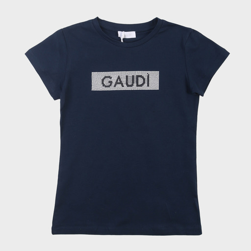 gaf03599