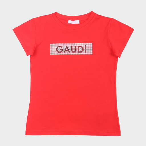 gaf03599
