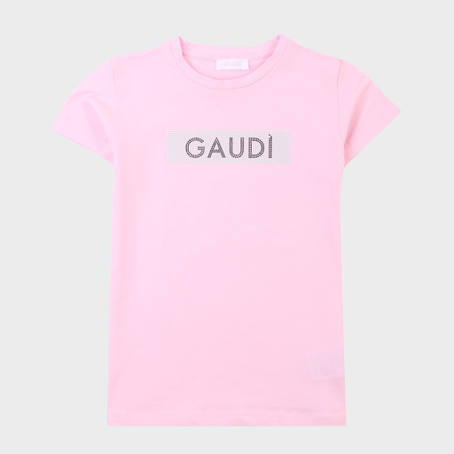gaf03599