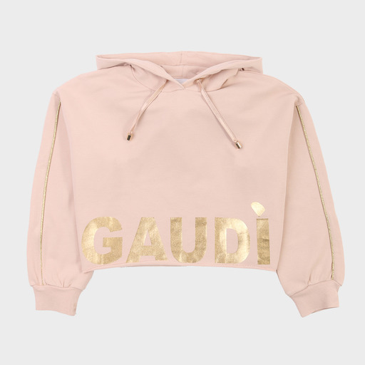 gaf03649