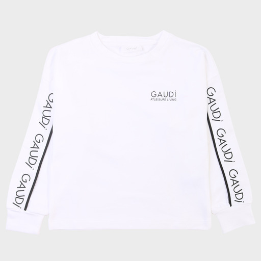 gaf03695