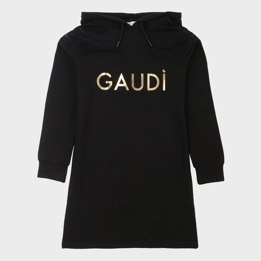 gaf03723