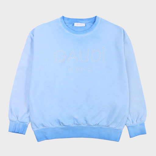 gaf03733