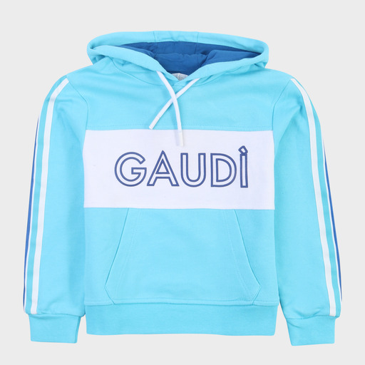 gam03470