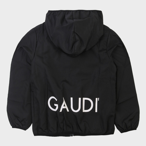 gam03556