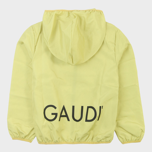 gam03556