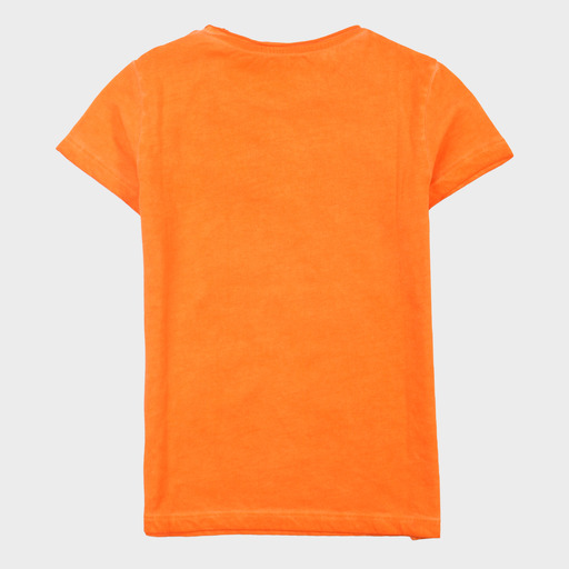 gam03516