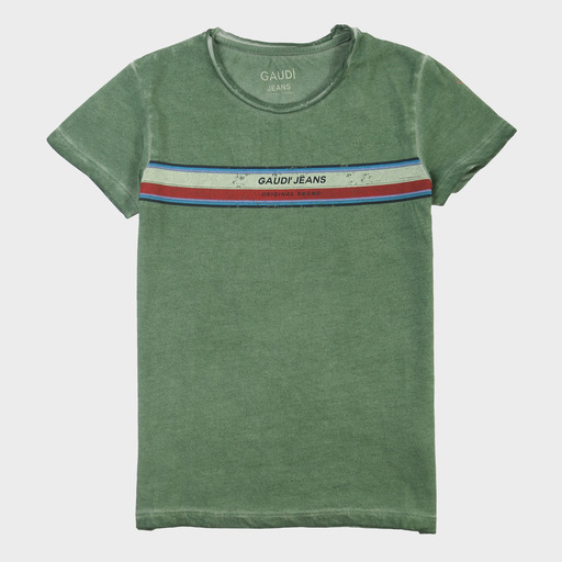 gam03516