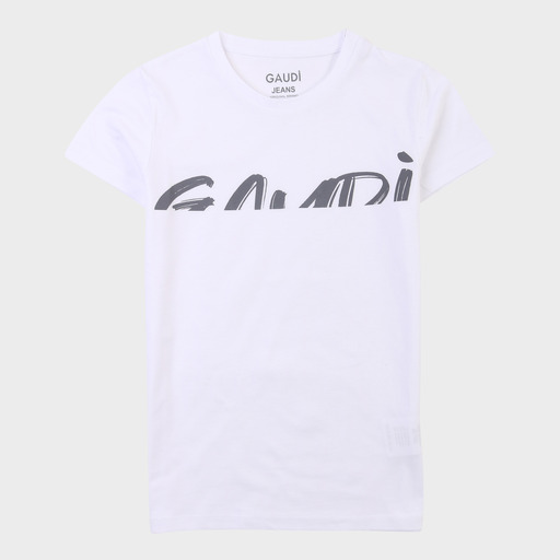 gam03519