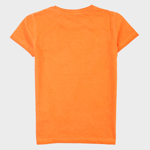 gam03519