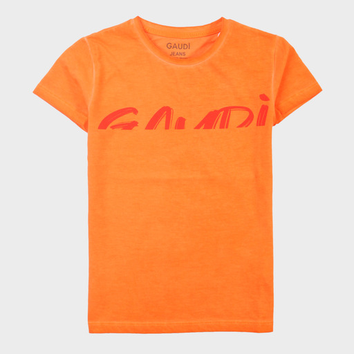 gam03519