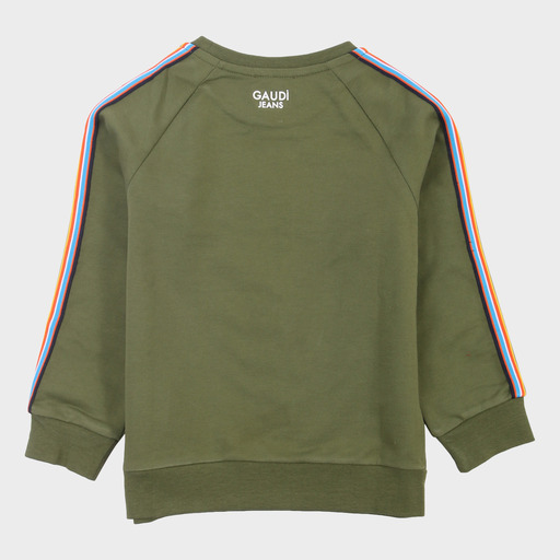 gam03520