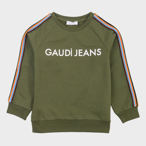 gam03520