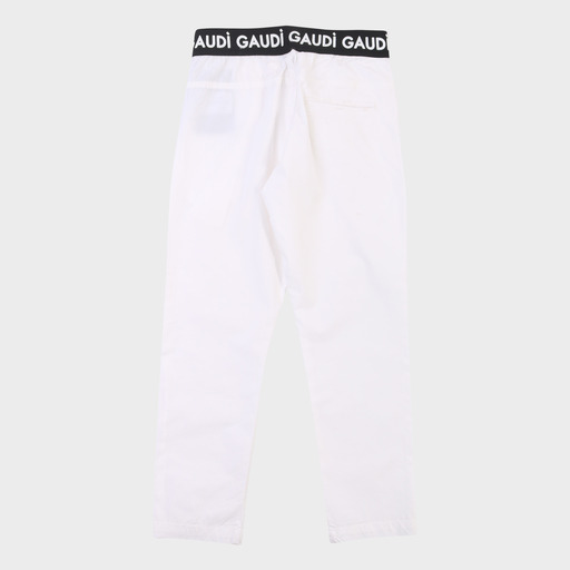 gam03528
