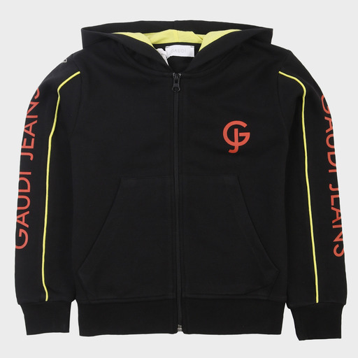 gam03529