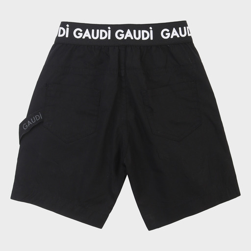 gam03535