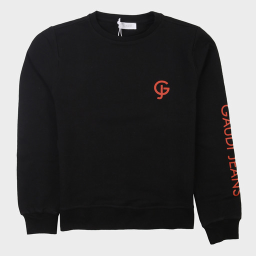 gam03537