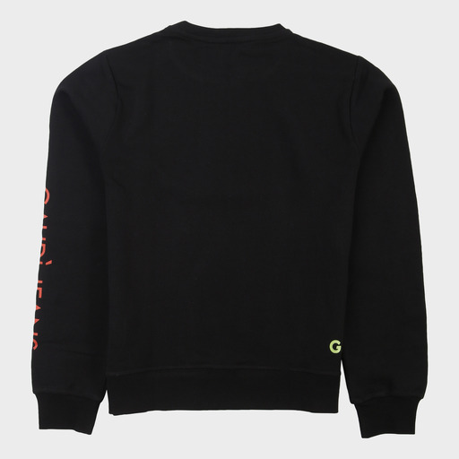 gam03537