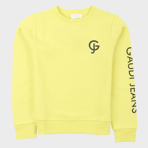 gam03537