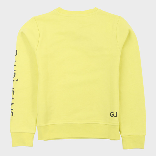 gam03537