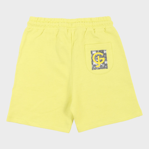 gam03541