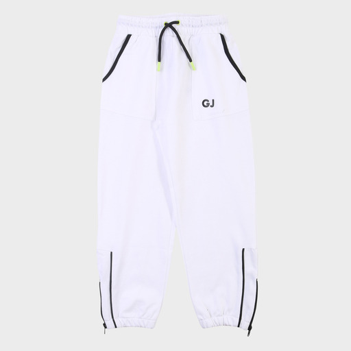 gam03542