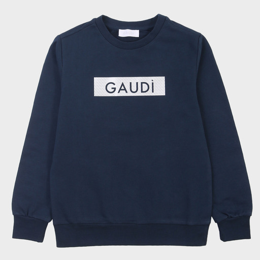 gam03558