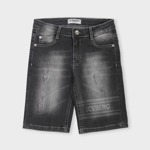 bmice0102j