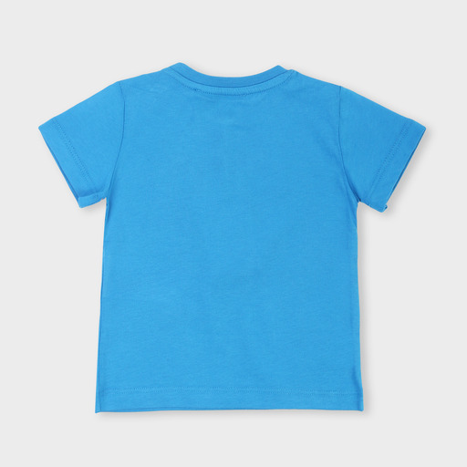 tsice0110b