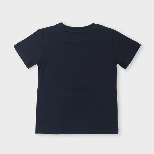 tsice0129b