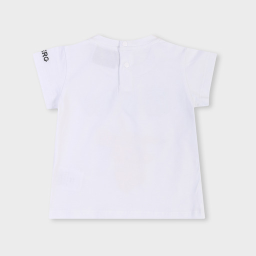 tsice0171b