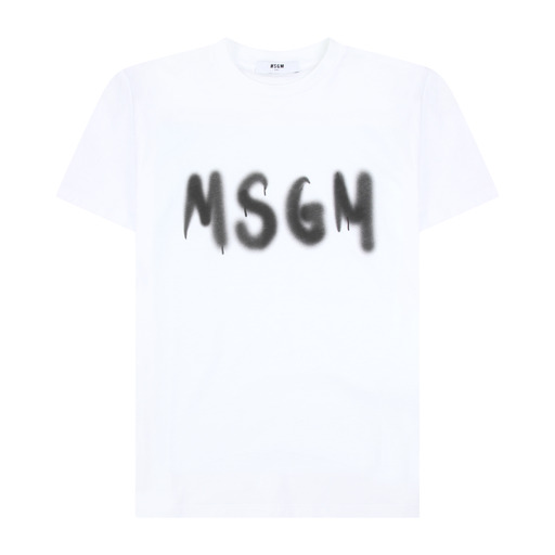ms029237001