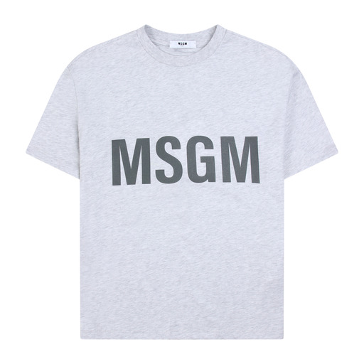ms029231107