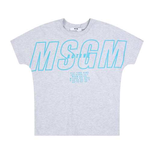 ms029313107